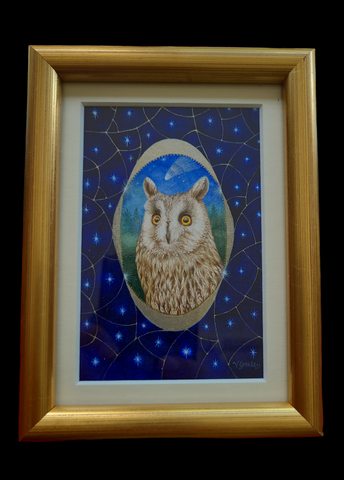 Asio Otus - Long-eared Owl by Valerie Greeley, RMS, HS