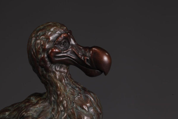 The Dodo - Limited Edition Bronze Sculpture