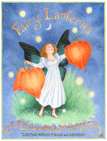 The Fairy Lantern