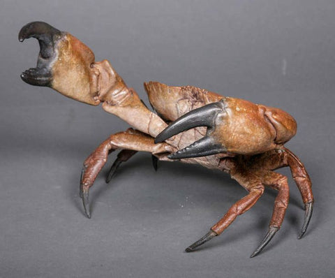 Missed a Clause - Limited Edition Bronze Crab