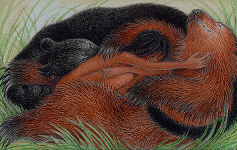 Midday Nap - The Jungle Book by Nicola Bayley