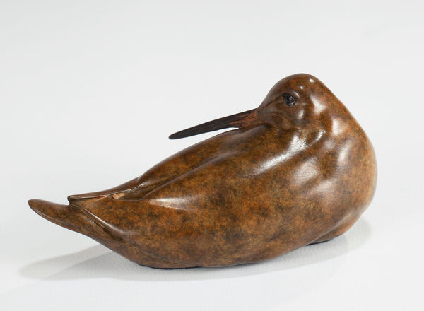 Woodcock Preening by Carl Longworth