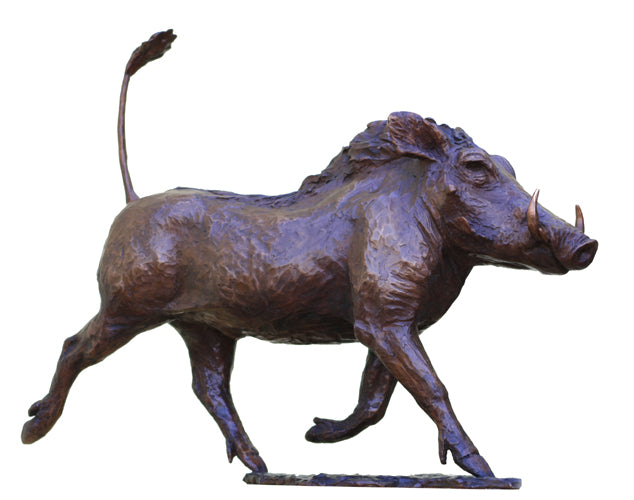 Warthog - by Vivien Mallock